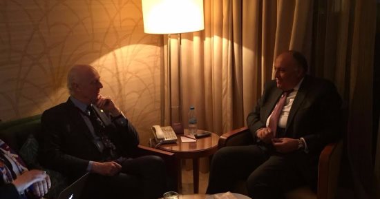 سامح شكرى لـ"دى مستورا" : مصر حريصة على نجاح مهمتك لحل الأزمة السورية