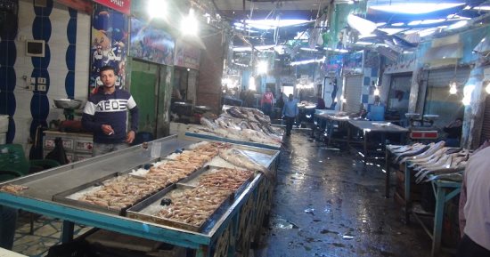 بالصور.. نجاح حملة مقاطعة الأسماك بالسويس