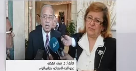 النائبة بسنت فهمى: الحكومة لا تعمل بروح الفريق ولا يوجد تغيير فى عملها