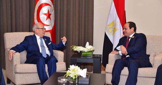 السيسي يؤكد لـ"السبسى" دعم مصر لتونس فى مواجهة الإرهاب