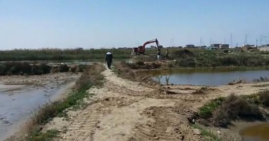 حملة لإزالة التعديات على بحيرة البرلس بكفر الشيخ