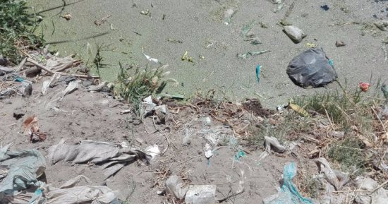 قارئ يشكو من مصرف عزبة حلوش بالإسماعيلية ويطالب بردمه