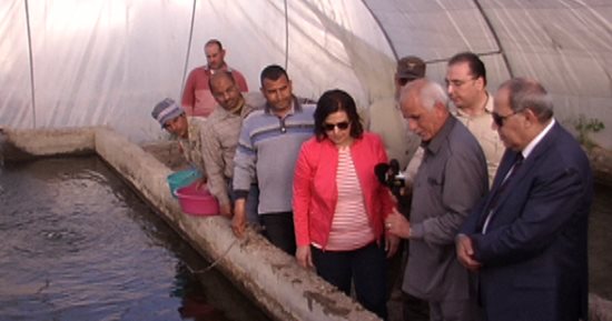 نائب وزير الزراعة: خريطة صنفية للاستثمار فى الاستزراع السمكى بمصر