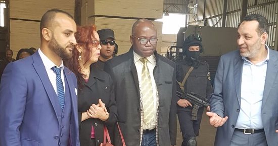 سفير الجابون يعرض 15 نوعًا جديدًا من الخشب على مصنعى الأثاث فى دمياط