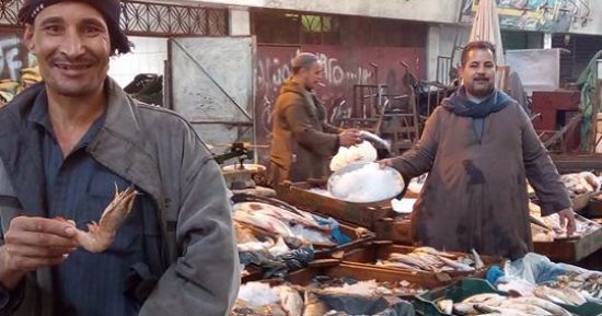بالصور.. انطلاق حملة مقاطعة الأسماك بالدقهلية