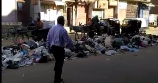 بالفيديو.. شكوى من انتشار القمامة بشوارع مدينة أسيوط