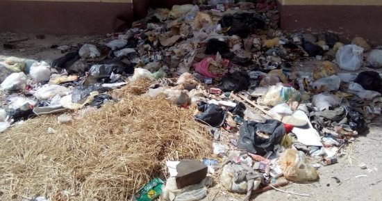بالفيديو..القمامة والحشرات تحاصران مكتب صحة المعادى