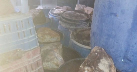 ضبط طن "فسيخ" مجهول المصدر بمحل أسماك بالجيزة قبل بيعها فى شم النسيم