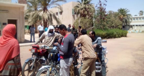 بالفيديو والصور.. عاملات التشجير بالوادى الجديد يستغثن بوزير الزراعة
