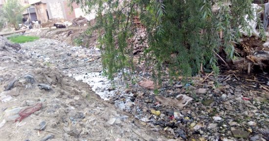 بالصور.. مستنقع مائى وتراكم القمامة فى أبو تيج بأسيوط