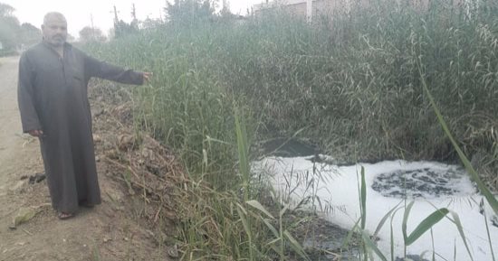  بالصور .. "كارثة".. صرف ببنى سويف يصب فى مصرف يروى آلاف الأفدنة