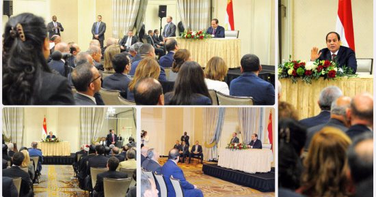 الرئيس يلتقى ممثلى الجالية المصرية بأمريكا بحضور محيى الدين والببلاوى