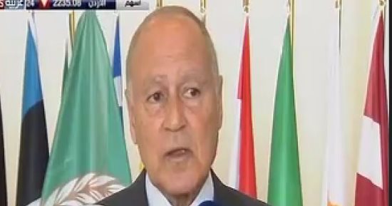 أحمد أبو الغيط: مصر لا تحتاج دعم خارجى فى محاربتها للإرهاب بسيناء