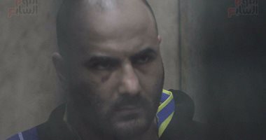 مادة أحالت أوراق مغتصب "طفلة البامبرز" إلى المفتى.. تعرف عليها