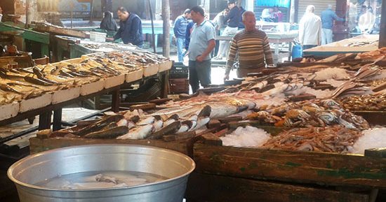 الغرفة التجارية: فرض رسم صادر على الأسماك سيؤدى لتراجع الأسعار قبل "رمضان"