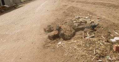 بالوعات مفتوحة وسوء حالة الطرق يهددان حياة مواطنى الحمادية فى المنوفية