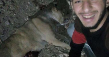 للمرة الثانية.. تداول صور لشاب يذبح كلبا ويعلق عليها: "خدت تارك يا صاحبى"