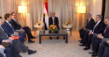 وزير الخزانة الأمريكية يعرب للسيسي عن تطلعه لزيادة شركات بلاده استثماراتها بمصر