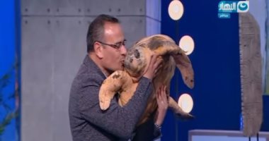 بالفيديو..جابر القرموطى يقبل سلحفاة على الهواء.. ومدير محميات البحر الأحمر: ثروة قومية