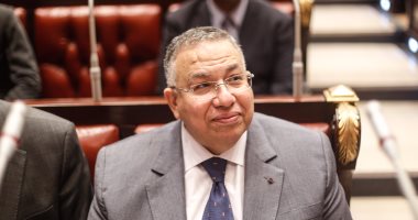 وكيل البرلمان: نبحث تشكيل اللجنة العامة مع "عبد العال" فور عودته من روسيا