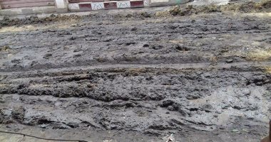 بالصور.. مياه الصرف الصحى تغرق شوارع قرية شنشور بالمنوفية