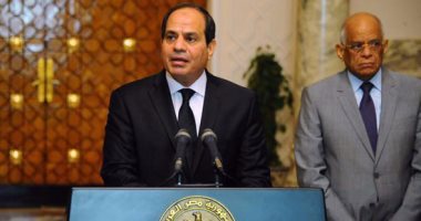 بالصور.. السيسى: طول ما المصريين كتلة واحدة "محدش هيقدر يهزم البلد دى"