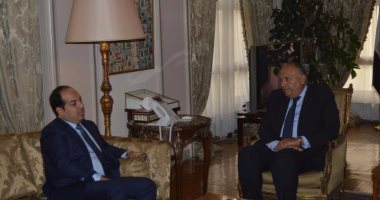 وزير الخارجية يؤكد تطلع مصر إلى استكمال الشكل المؤسسى للدولة الليبية