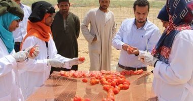 بالصور.. افتتاح مشروع إنشاء وحدات تجفيف المحاصيل الزراعية بإسنا