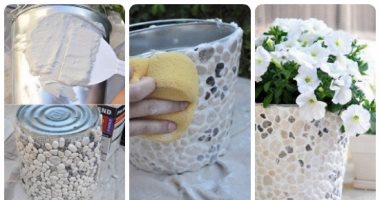 بالصخور والصدف..6 أفكار هتخلى بيتك أحلى