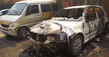 سيدة صينية تنتقم لمقتل كلبها بحرق 9 سيارات والشرطة تلقى القبض عليها