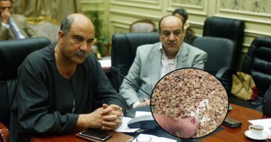"زراعة البرلمان" فى مهمة رسمية.. اللجنة تزور محافظتى الإسكندرية والبحيرة لمدة 4 أيام للوقوف على مشاكل المواطنين.. ملف تقنين وضع اليد.. ووقف تصدير الفراولة وأسعار السماد وعدم وصول المياه لنهايات الترع