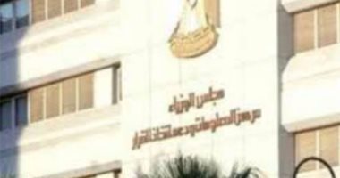 "معلومات الوزراء" ينشر انفوجراف حول تصويت المصريين فى الخارج