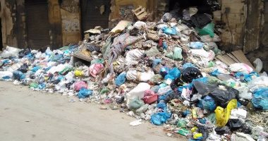 رفع 44 طن قمامة وتمهيد 25 كيلو طرق فى حملة مكبرة بالمنوفية