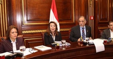 "تضامن بالبرلمان": إعلان الرئيس عام 2018 لذوى الاحتياجات يعبر عن تقديره لهم
