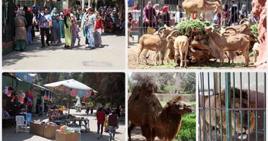 14 حديقة تفتح أبوابها للزوار فى شم النسيم.. عروض لنجوم حديقة الجيزة "عنتر وحسونة" والزرافتين "ياسو وسونسون".. ومعرض الزهور يتزين بالأورمان.. وتواجد مكثف للشرطة لحماية المواطنين