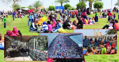 "فى شم النسيم.. مافيش ريجيم".. "التموين" تطرح سلعا غذائية بنصف مليار جنيه بالمجمعات الاستهلاكية.. كيلو البط المسكوفى بـ29 جنيها وكرتونة البيض بـ33 والرنجة بـ29.. الأرز بـ650 قرشا وجميع الأسماك بـ"نص التمن"