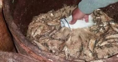 ضبط 47 قضية تموينية متنوعة فى حملة مكبرة بالفيوم