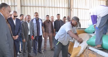 بالفيديو والصور ..محافظ قنا يتفقد شون وصوامع القمح