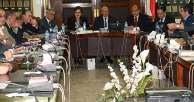 محافظ مطروح يعرض المخطط التنموى على وزيرى التنمية المحلية والتخطيط