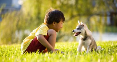 ربى كلب فى البيت تحمى طفلك من الأمراض وتنمى سلوكه ومهاراته 