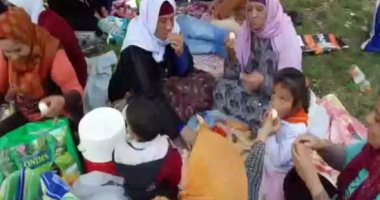 راندا جاد تكتب : يا فسيخك يا أم الدنيا