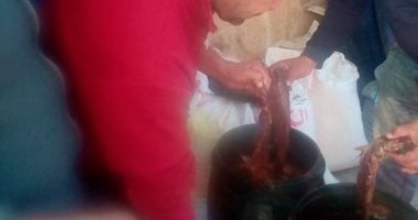 بالصور.. مباحث التموين بالإسماعيلية تضبط كميات كبيرة من الفسيخ الفاسد