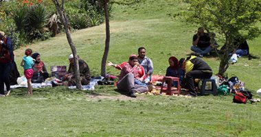 سوزان بدوى تكتب: دبابيس (٤٤(