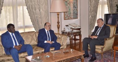 وزير الخارجية يبحث قضايا المنطقة مع وفد من أعضاء البرلمان العربى