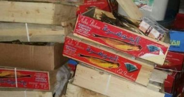 بالصور.. ضبط 800 كيلو رنجة ولحوم غير صالحة للاستهلاك بمطروح