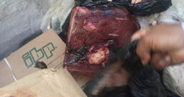 ضبط 1250 كيلو لحوم وكبدة فاسدة بمركز المراغة فى سوهاج