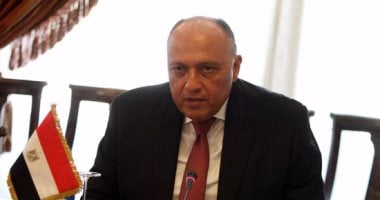 وزير الخارجية الروسى يناقش مع شكرى التعاون المتبادل فى الأزمة السورية