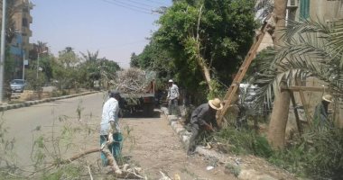 بالفيديو والصور.. حملة لمكافحة طائر أبو قردان من أحياء مدينة موط بالوادى الجديد