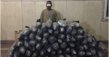 الداخلية: إحباط تهريب 300 كيلو جرام بانجو بحوزة متهم فى المنيا
