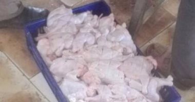مباحث الخليفة تضبط 3 عمال متهمين بتخزين 2 طن دواجن فاسدة قبل إعادة ترويجها